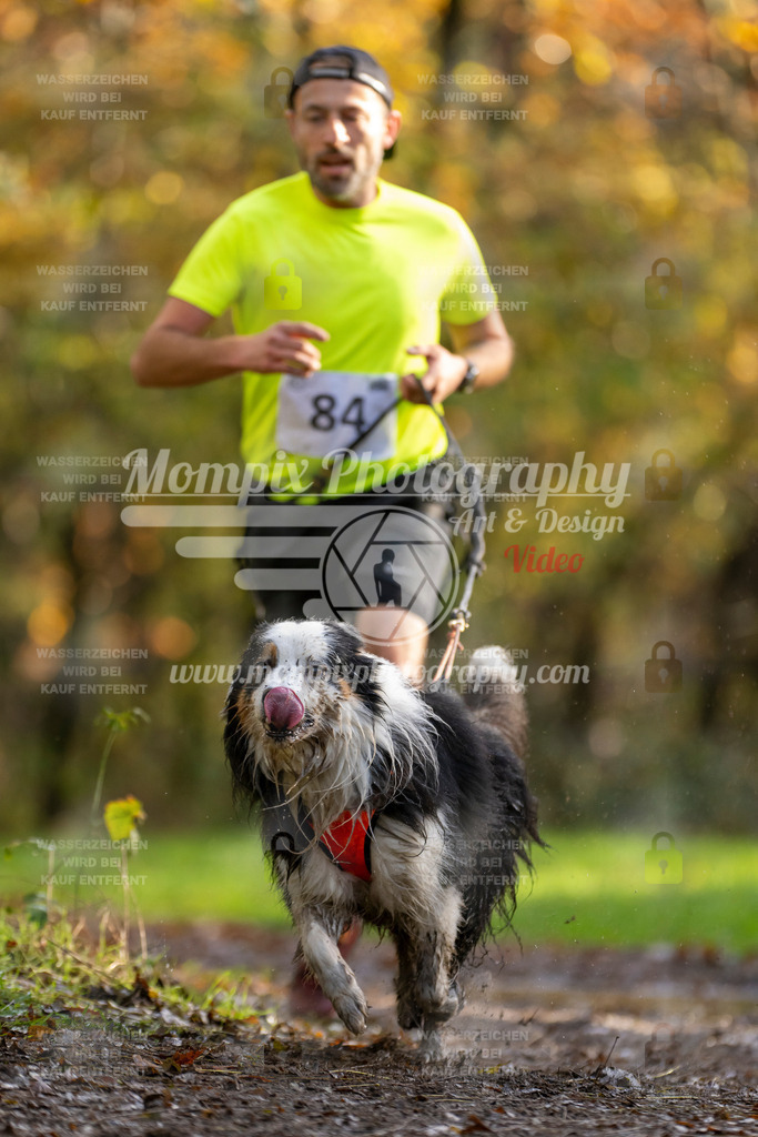 MompixPhotography_Bischwiller23_Canicross-16 | PayLife