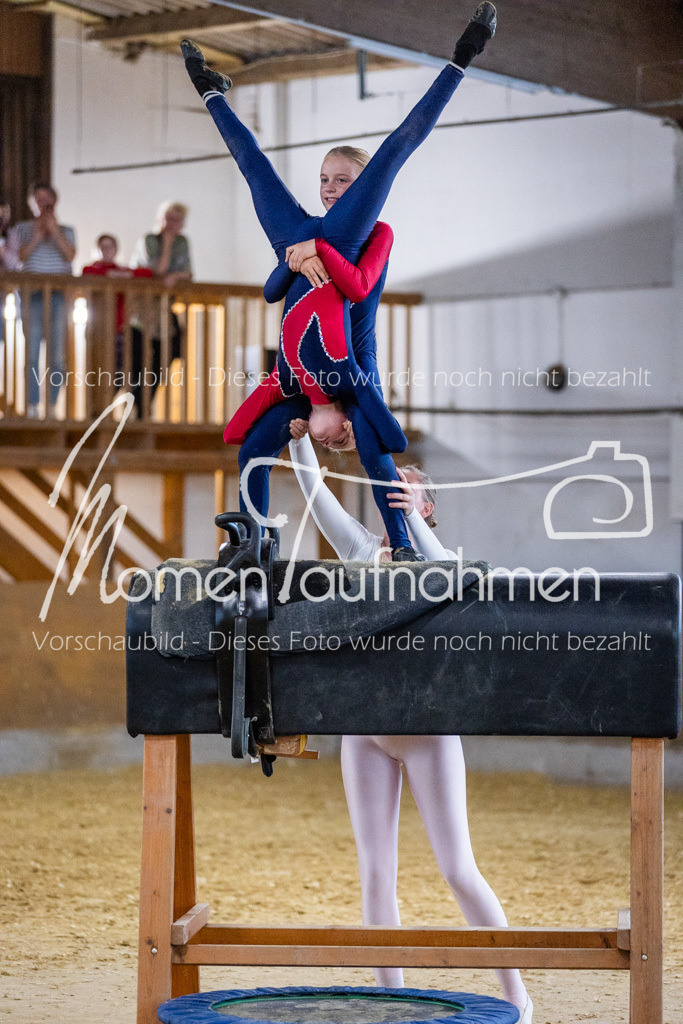 Holzpferd-089 | MomenTaufnahmen Pferdesportfotos