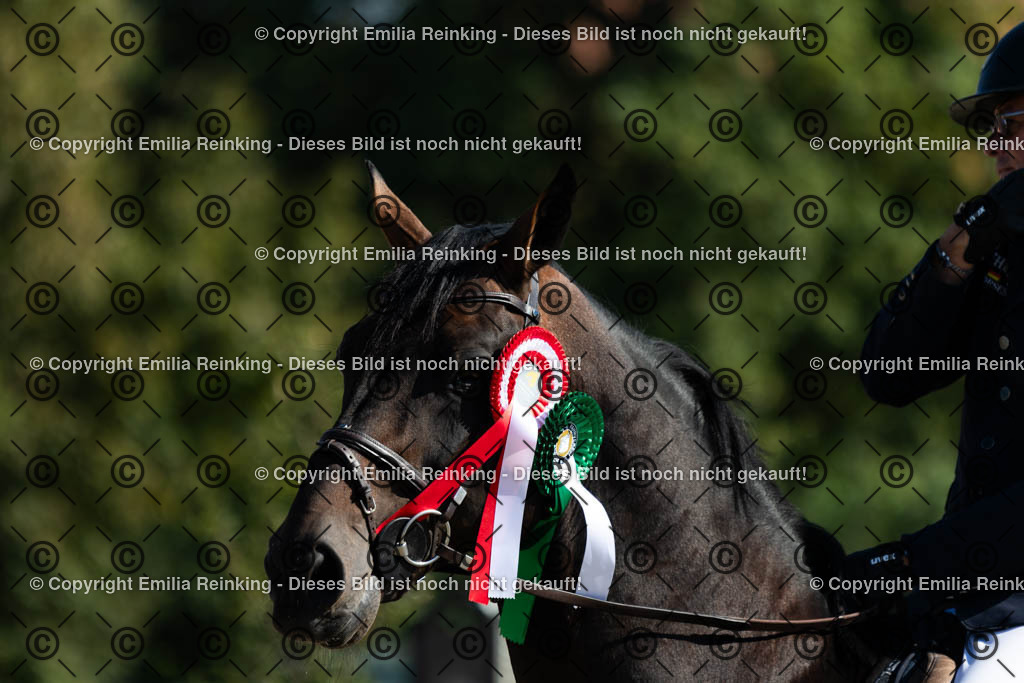 CL5A6545 | Emilia Reinking Fotografie - Realisiert mit Pictrs.com