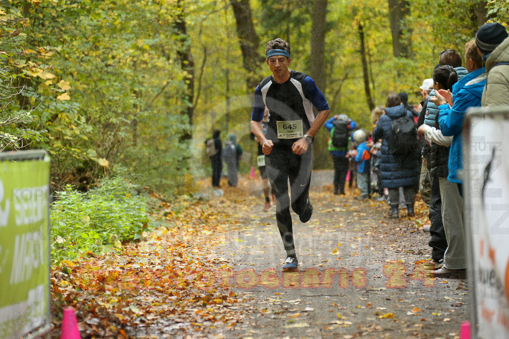 251026_1222_EX1_0219 | Sportfotografie im Rhein-Sieg Kreis, Köln, Bonn, NRW, Rheinland Pfalz, Hessen, etc. Unser Tätigkeitsfeld umfasst den Laufsport vom Volkslauf über den Marathon, Duathlon, Triathon bis zum Ultralauf wie Kölnpfad Ultra oder Schindertrail.