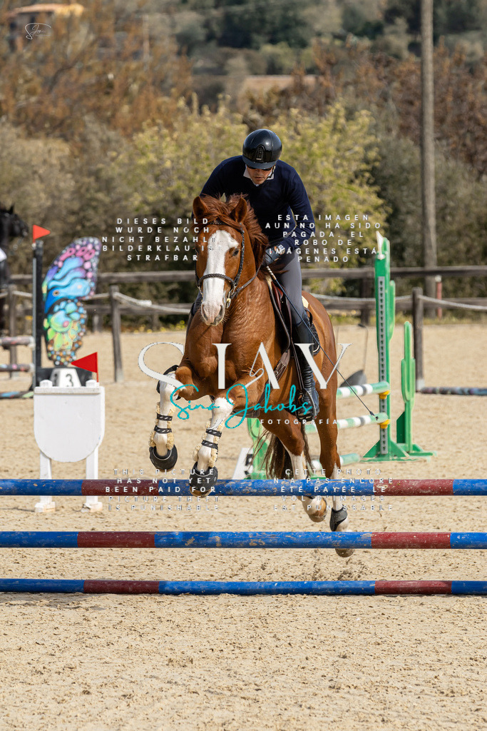 IMG_3222 | s-jay-photography - Realized with Pictrs.com