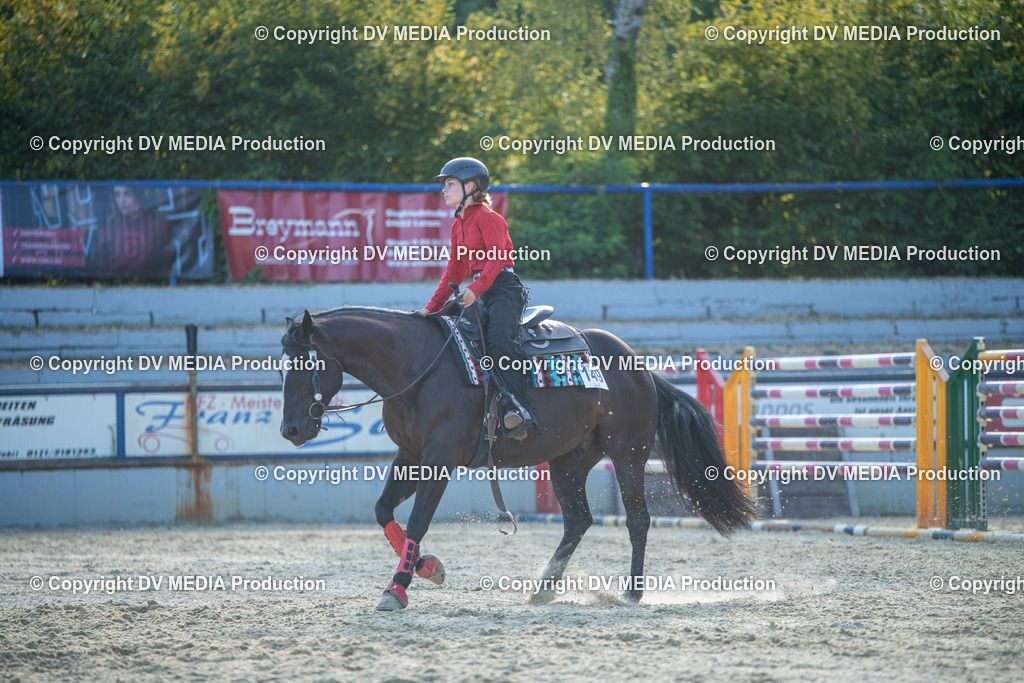 EWP_7140 | dv-media-shop - Realisiert mit Pictrs.com