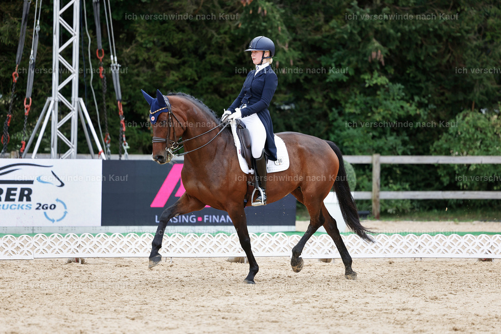 6-196-AMATUER-DRESSUR S_  -StoibPH-3513 | working equitationturnier fotograf videograf stoibphotography marixx film working equitation deutschland reitsport turnierfotografie eventfotografie equestrian events