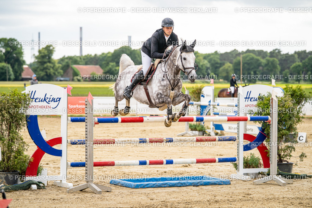 DSC06111 | Pferdegrafie