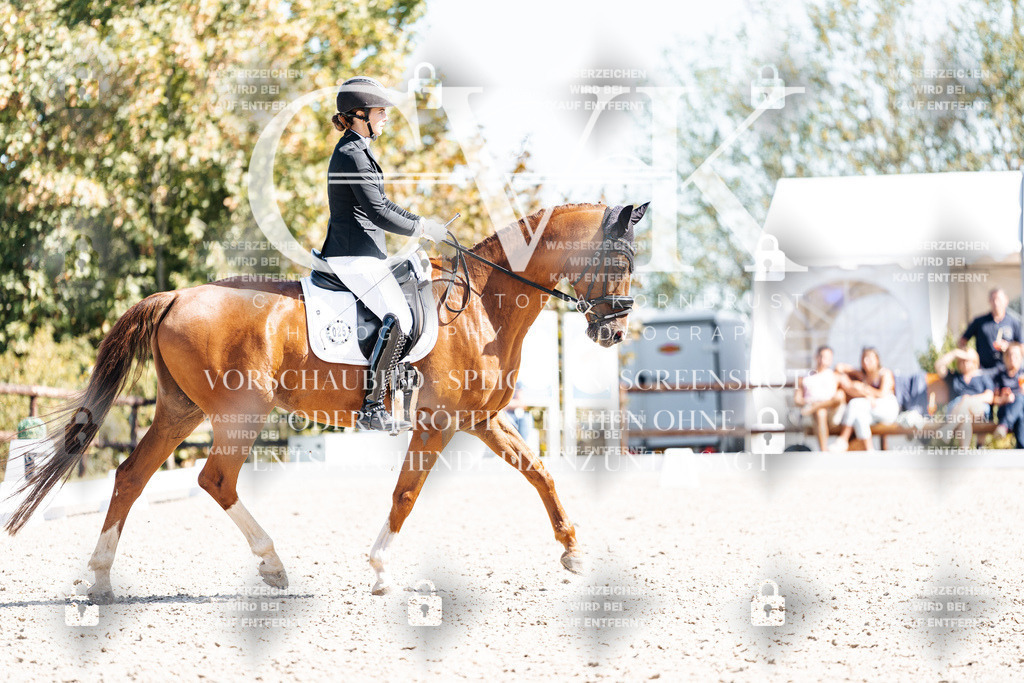 CK909535 | Turnierfotografie Pferdefotografie Trier Rheinland-Pfalz Pferdesport Reitsport Tierfotografie Sportfotografie Pferdevideo Pferdevideografie Equestrianvideography equestrianphotography  - Realisiert mit Pictrs.com