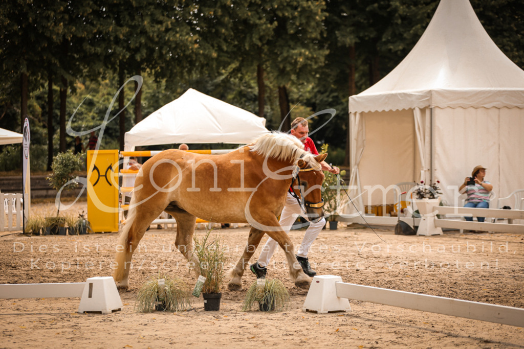 4.Sa00020 | Leoni Ertmer Photography - Realisiert mit Pictrs.com