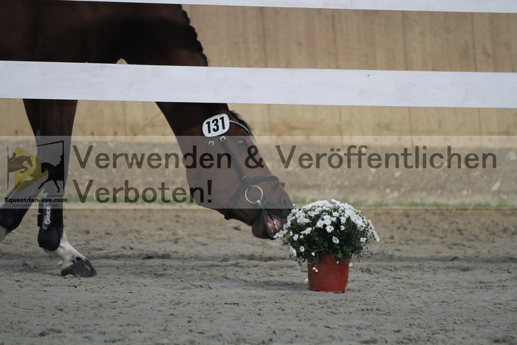 _MG_0792 | equestrian-live-com