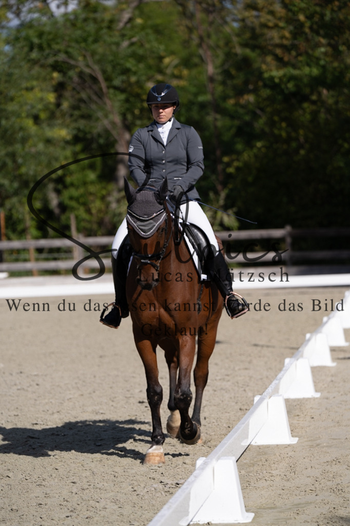 A7V07010 | Turnier/Reitfotograf