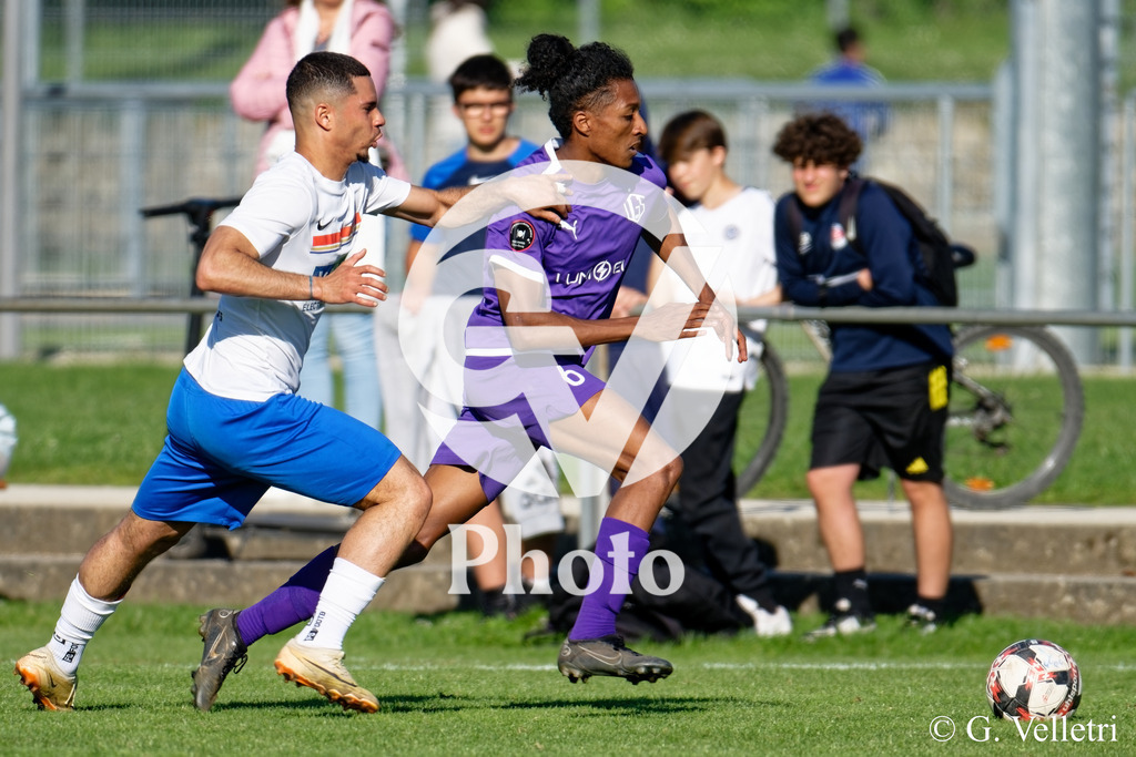 DSC_5861 | Velletri Photo