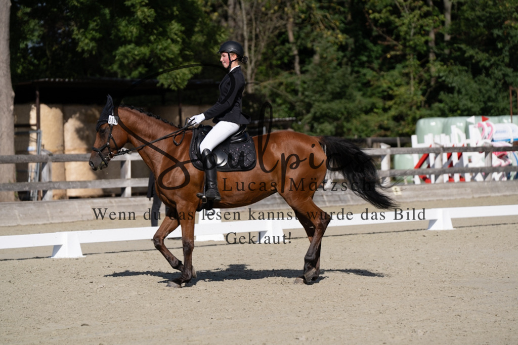 A7V06957 | Turnier/Reitfotograf
