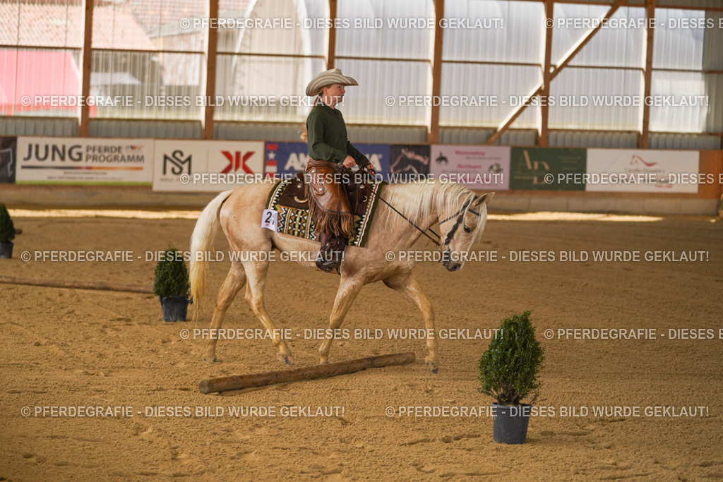 DSC06686 | Pferdegrafie