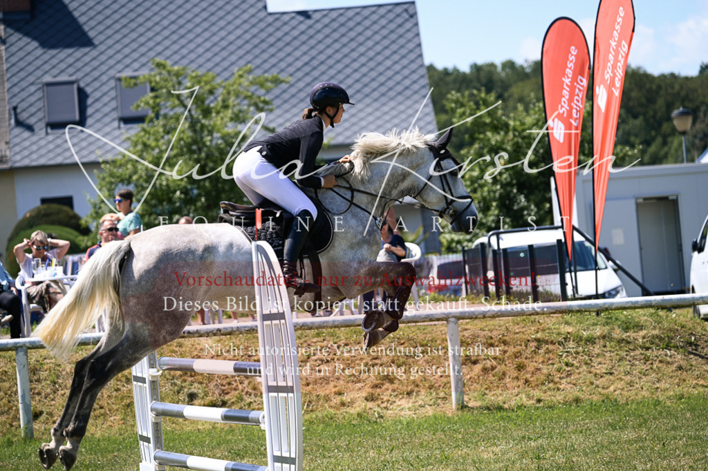 DSC_0086 | Pferde- und Turnierfotografie in Westsachsen. Pferdeportraits, Auftragszeichnungen und intuitive Kunst.