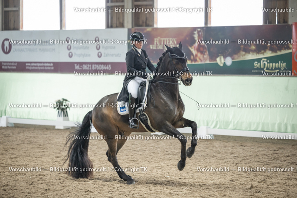 _D5A6097 | Emotionale Pferde- & People-Fotografie rund um Heidelberg, Leimen & Umgebung. Natürliche Fotos von Pferd, Mensch & Familie. Jetzt Termin sichern!