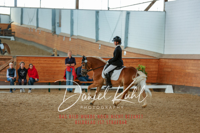 _62_7898 | Turniersportfotografie; Pferdefotografie; Dressurfotografie