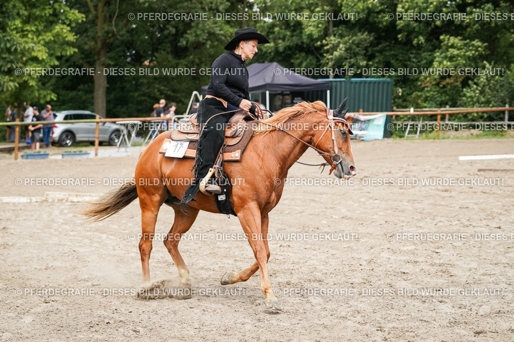 DSC08101 | Pferdegrafie