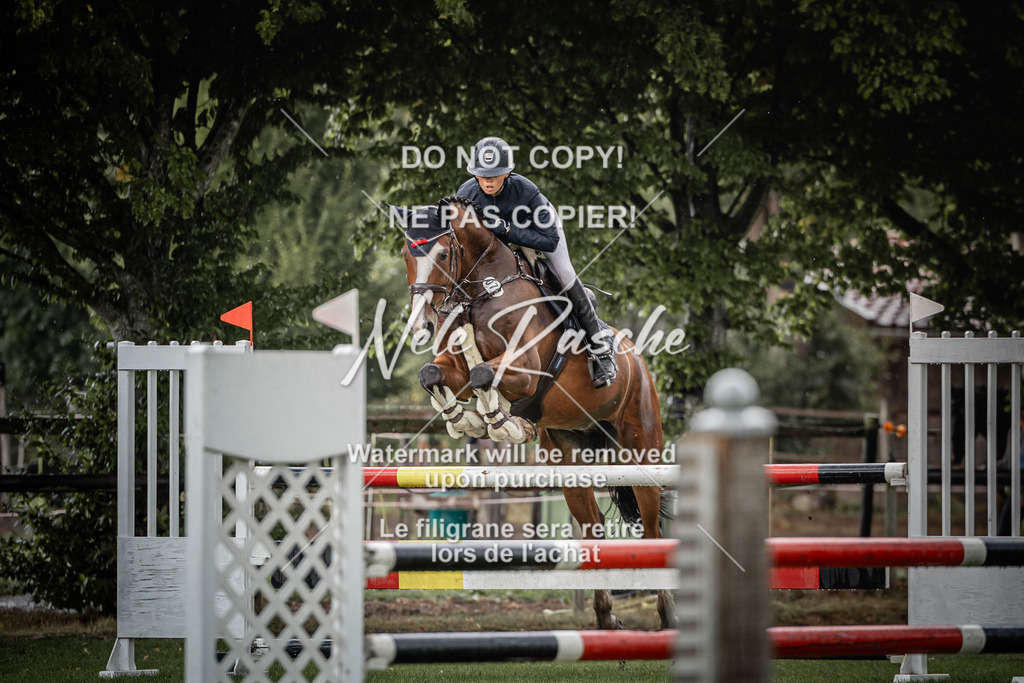 nelerasche_SprL110Ede_01 | nelerasche