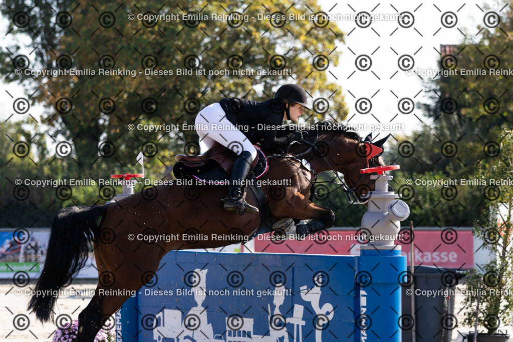 CL5A6018 | Emilia Reinking Fotografie - Realisiert mit Pictrs.com