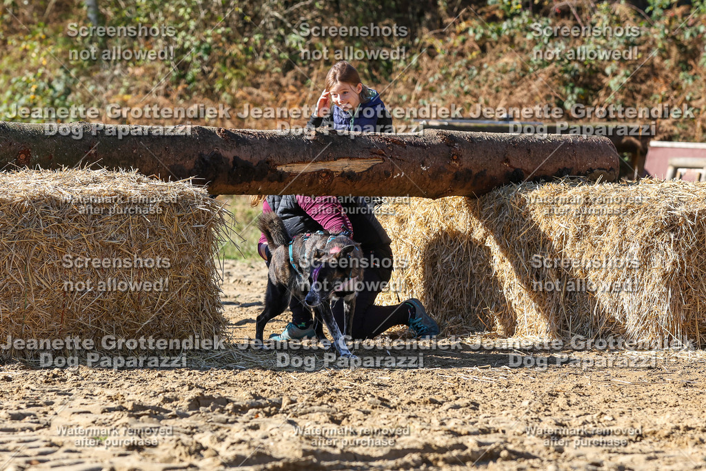 Dog Paparazzi - Strongdog 10-25-2837 | Dog Paparazzi Jeanette Grottendiek Fotografie & Videografie - Realisiert mit Pictrs.com