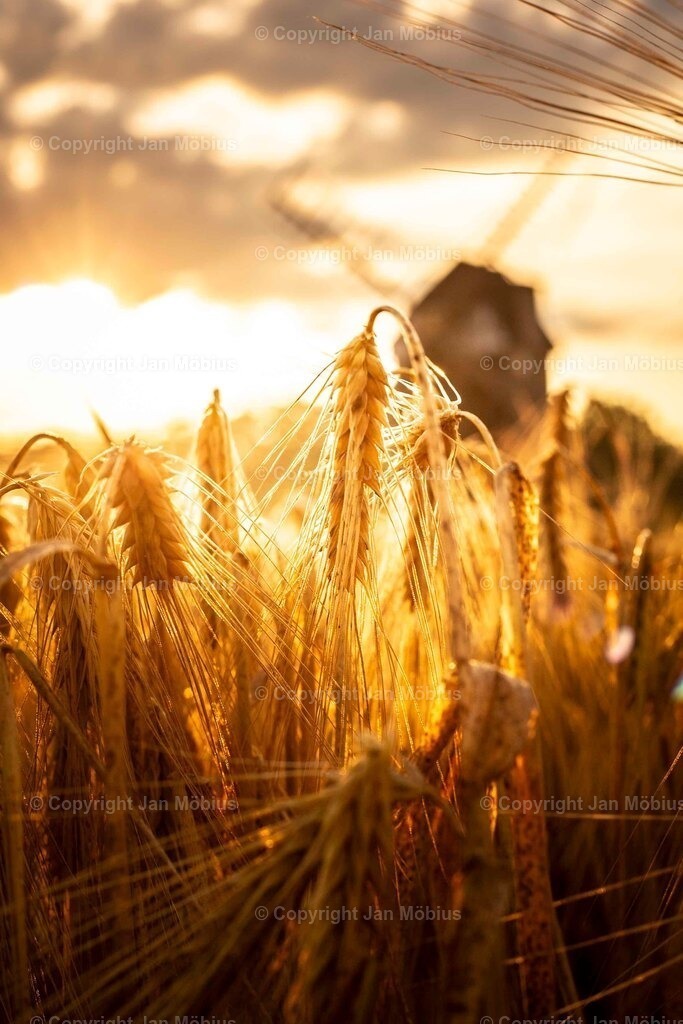 _M5D4018 | Leipzig Wandbilder Drucke Prints Leinwand Stadtmotive Leipzig Fotosdruck Kunstdrucke Bilder Leipzig Stadtansichten Acrylglasbilder Leipzig Wanddeko Fine Art Prints Wandbilder Büro Leipzig Bilder Praxis Zuhause Bilderdruck Poster Posterlounge Kunstdrucke - Realisiert mit Pictrs.com