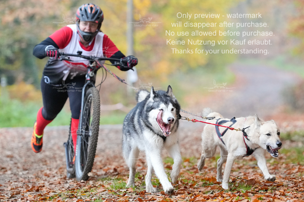 AusschnitteSo-22 | stephaniefillaphotographie - Realisiert mit Pictrs.com