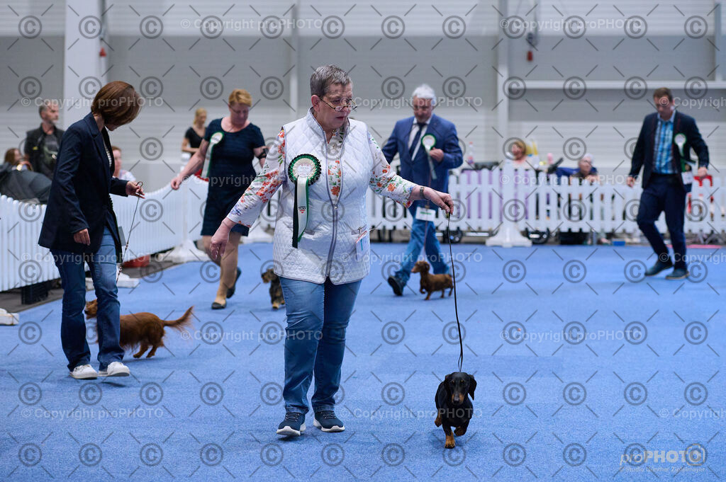 202406_ÖKV-IHA-Tulln24_DSC_3886 | proPHOTO - Realisiert mit Pictrs.com