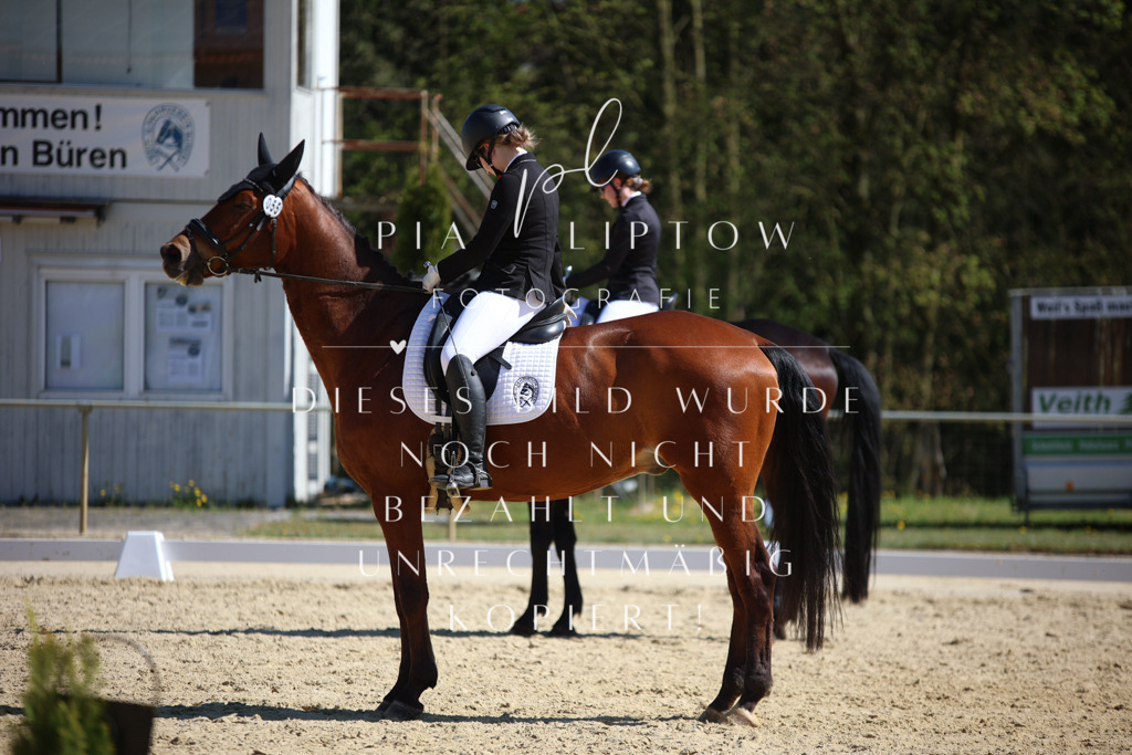 IMGT2013 | pl-fotografie