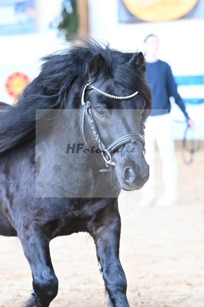 Kat-Nr. 19 Wattan von Neuhaeusler v. Wolfgang v d Roemer_Baumann_9260482 | hf-fotografie - Realisiert mit Pictrs.com