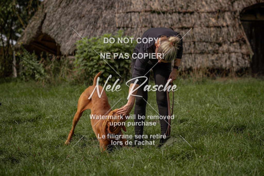 nelerasche_DoN_59 | nelerasche