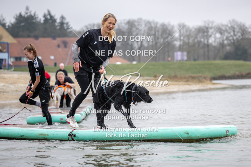 nelerasche_Hulsbeek_Sa1130-1230_207 | nelerasche