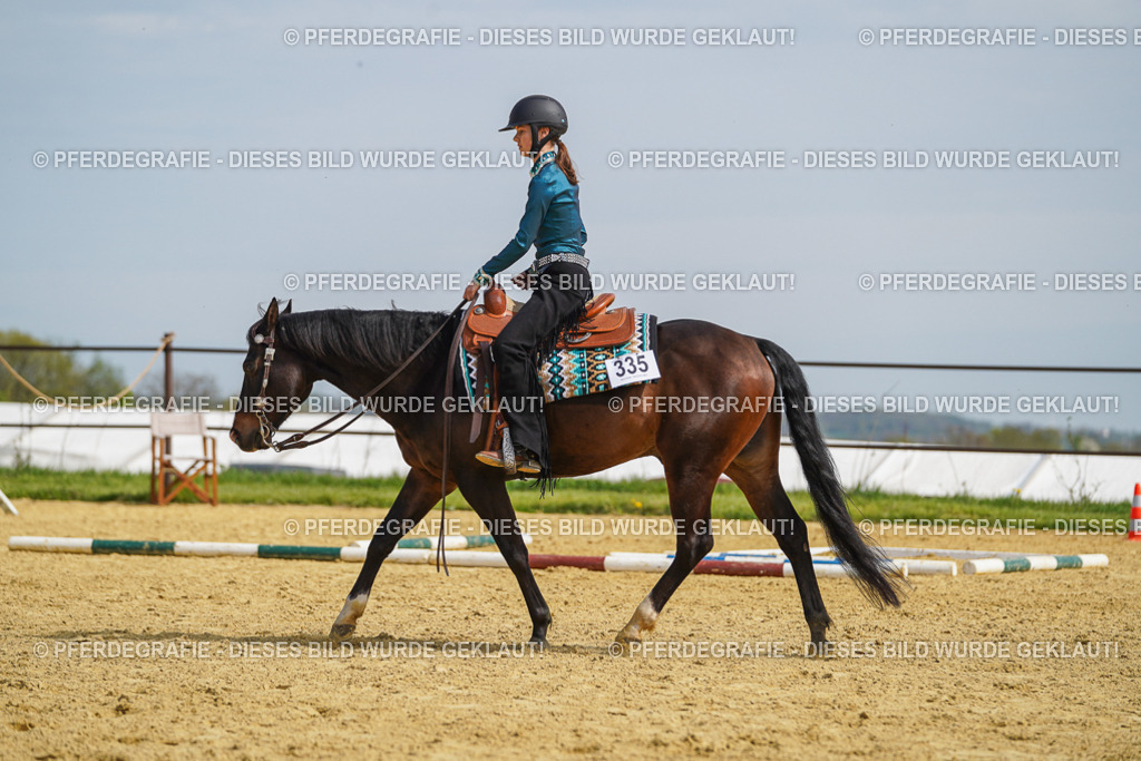 DSC04347 | Pferdegrafie