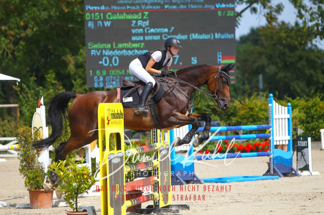 Gut Blee25_Amateuer Stilsprpfg Kl L_0050 | Turniersportfotografie; Pferdefotografie; Dressurfotografie