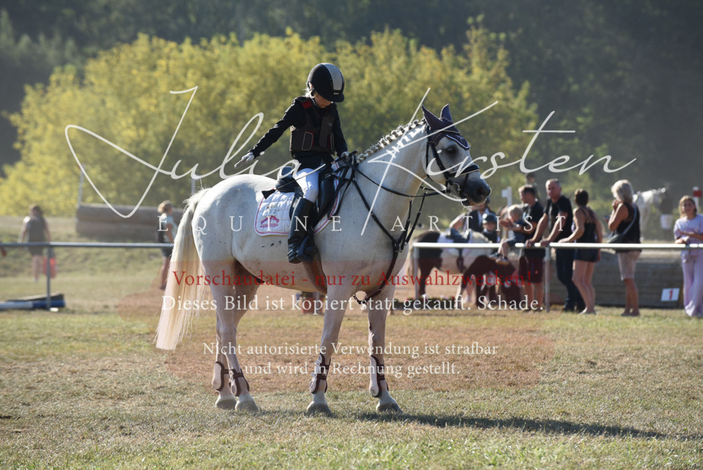 DSC_5711 | Pferde- und Turnierfotografie in Westsachsen. Pferdeportraits, Auftragszeichnungen und intuitive Kunst.