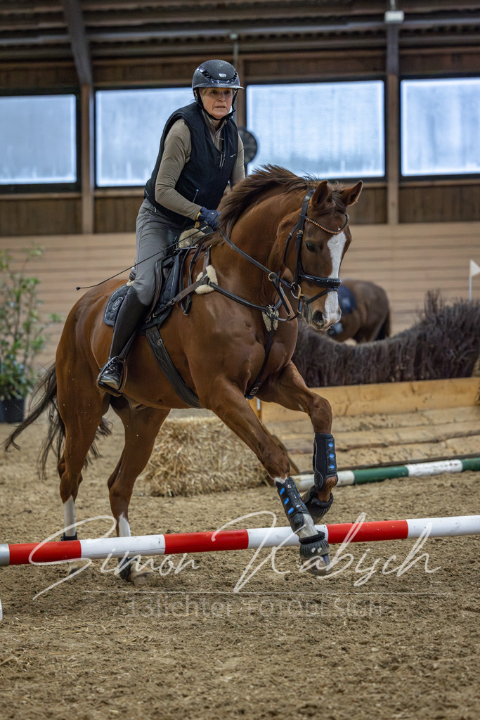 20260222-_3LI1158 | Tierfotografie Pferde, Hunde, Katzen, Haustiere.
Turnierfotografie Reitturniere, Reiten, Springreiten, Dressur in Hanau, dem Main-Kinzig-Kreis und dem Rhein-Main- Gebiet um Frankfurt