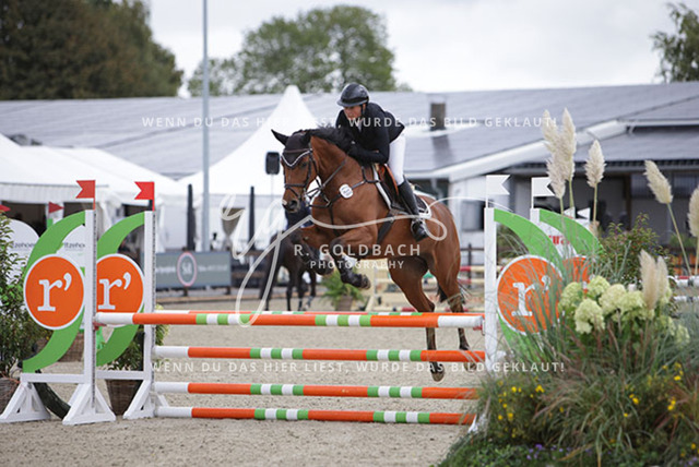 1J2A0975Henrike Blohm_ Miss California 4_ Kn738_ Havekost | Foto- und Videografie für alles rund ums Pferd. Hochwertige Bilder und Videos vom Spring- und Dressurreiten, Voltigieren & mehr. Jetzt aktuelle Veranstaltungen und Preise im Shop ansehen. - Realisiert mit Pictrs.com