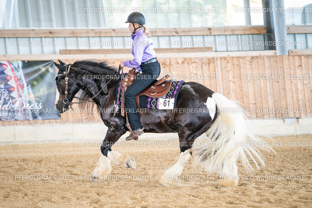 DSC03249 | Pferdegrafie