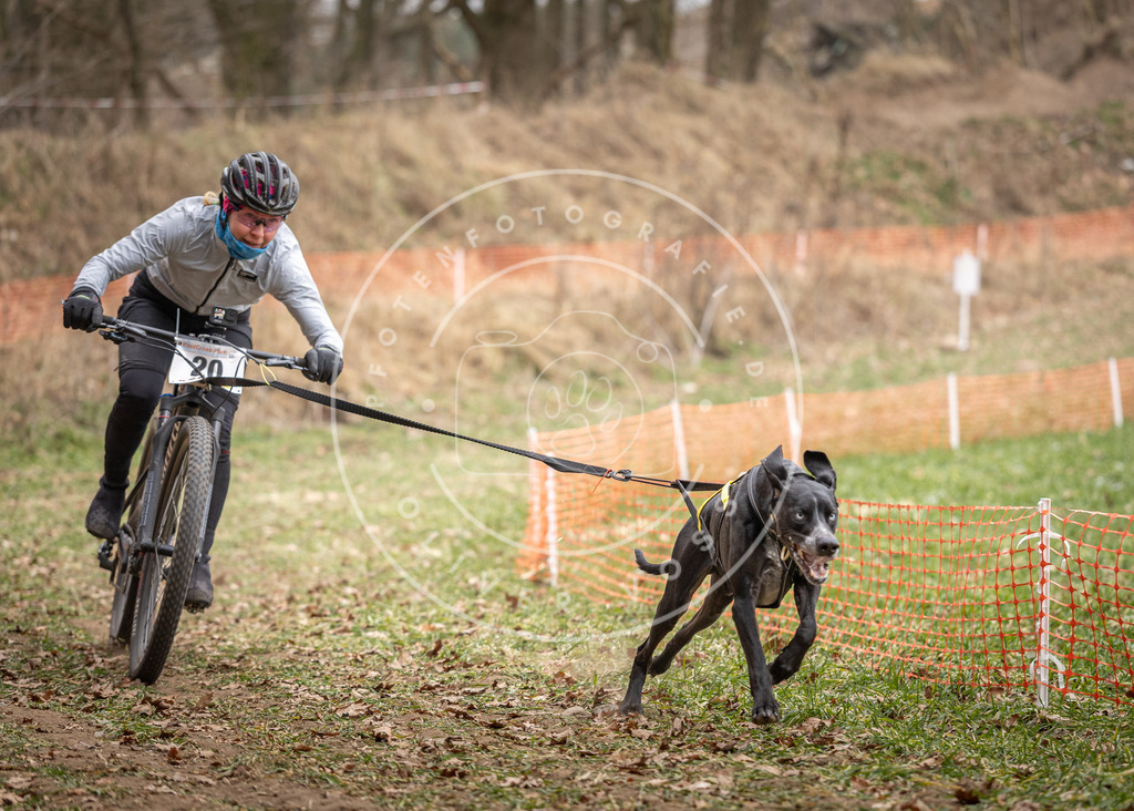 Pfotenfotografie_DV3A7169 | Hundefotografie, Tierfotograf, Pfotenfotografie, Fotoshooting Hund, Hunde Portrait, Hundesport, Hundeportraits, Heideshooting, Hunde, Sportfotograf, Hundefotograf, Turnierhundsport, THS,  - Realisiert mit Pictrs.com