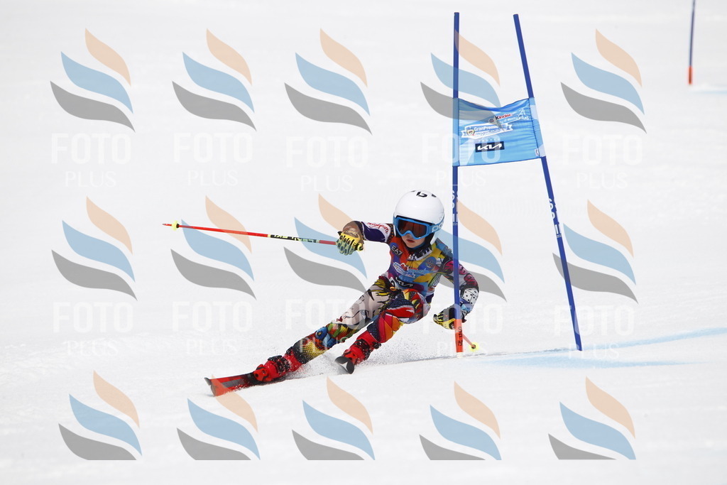 _U3G7730 | holidayphoto