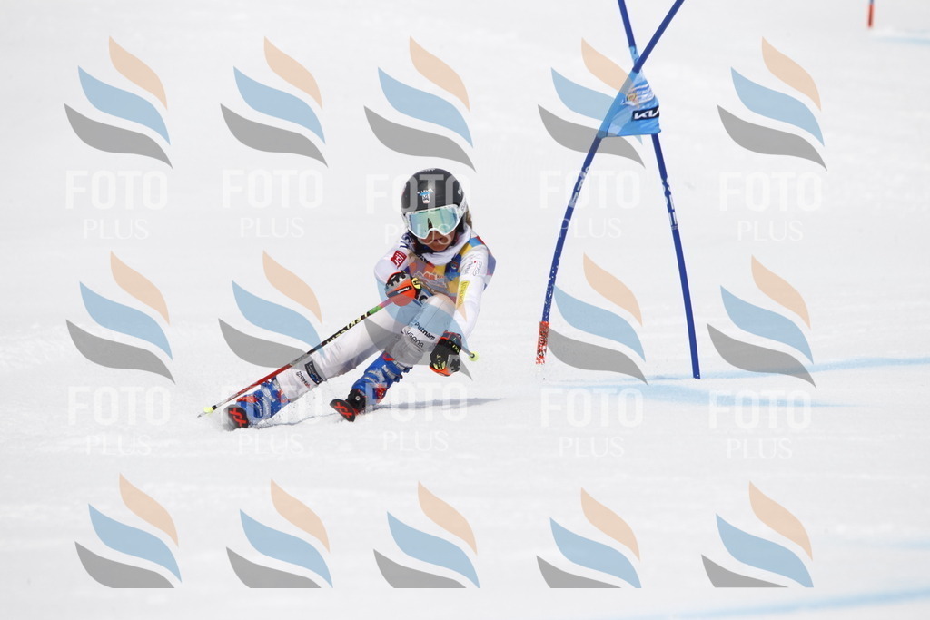 _U3G7567 | holidayphoto