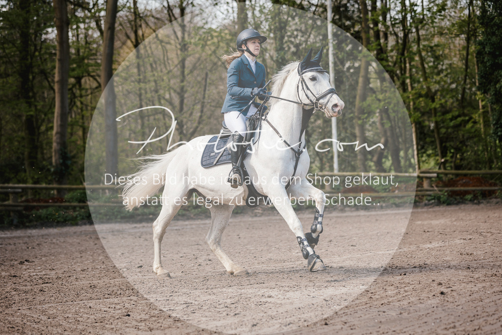 3I6A4003 | Stimmungsvolle Portraits und Reitsportfotografie im Ruhrgebiet und im Münsterland.

Pferdefotografie, Hundefotografie, Tierfotografie, Reportagen, Portraits von Tier und Mensch, Turnierfotografie in Bochum, Recklinghausen, Marl, Haltern am See, Dülmen.. - Realisiert mit Pictrs.com