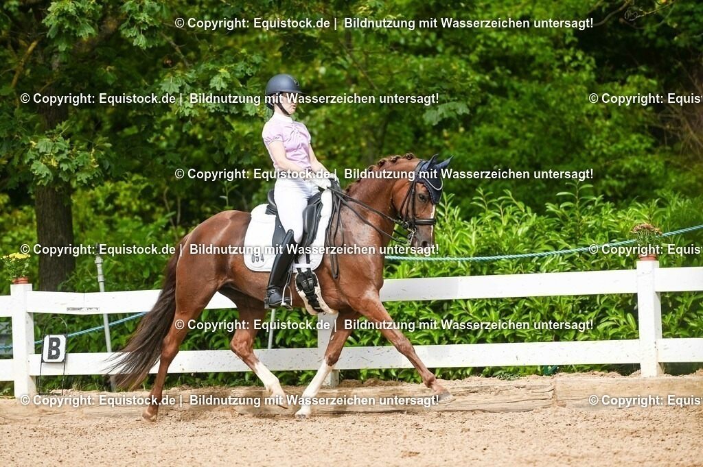 20230716_01_Dressurprüfung Kl.M_0382 | equistock