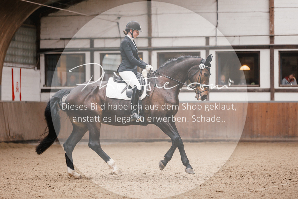 3I6A6800 | Stimmungsvolle Portraits und Reitsportfotografie im Ruhrgebiet und im Münsterland.

Pferdefotografie, Hundefotografie, Tierfotografie, Reportagen, Portraits von Tier und Mensch, Turnierfotografie in Bochum, Recklinghausen, Marl, Haltern am See, Dülmen.. - Realisiert mit Pictrs.com