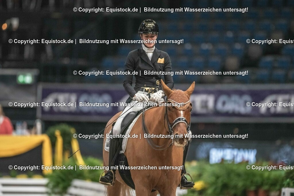 20231115_20_Dressur_Kl-S++_0243_TOMsPiC | Foto: Thomas Hartig