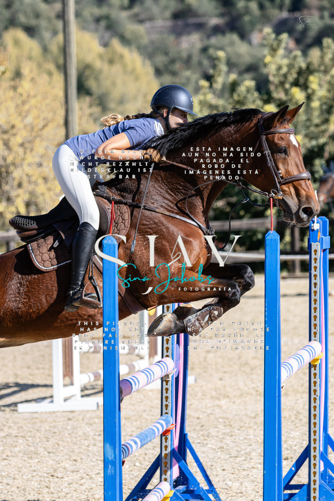 IMG_0783 | s-jay-photography - Realisiert mit Pictrs.com