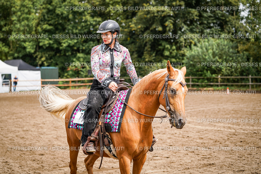 DSC04652 | Pferdegrafie