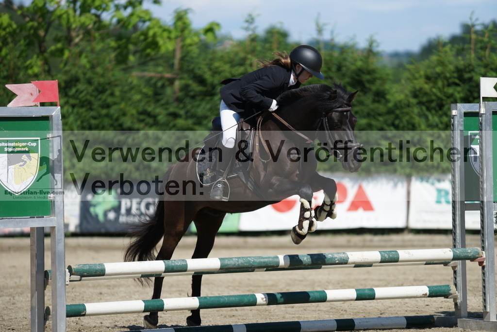 DSC06172 | equestrian-live-com