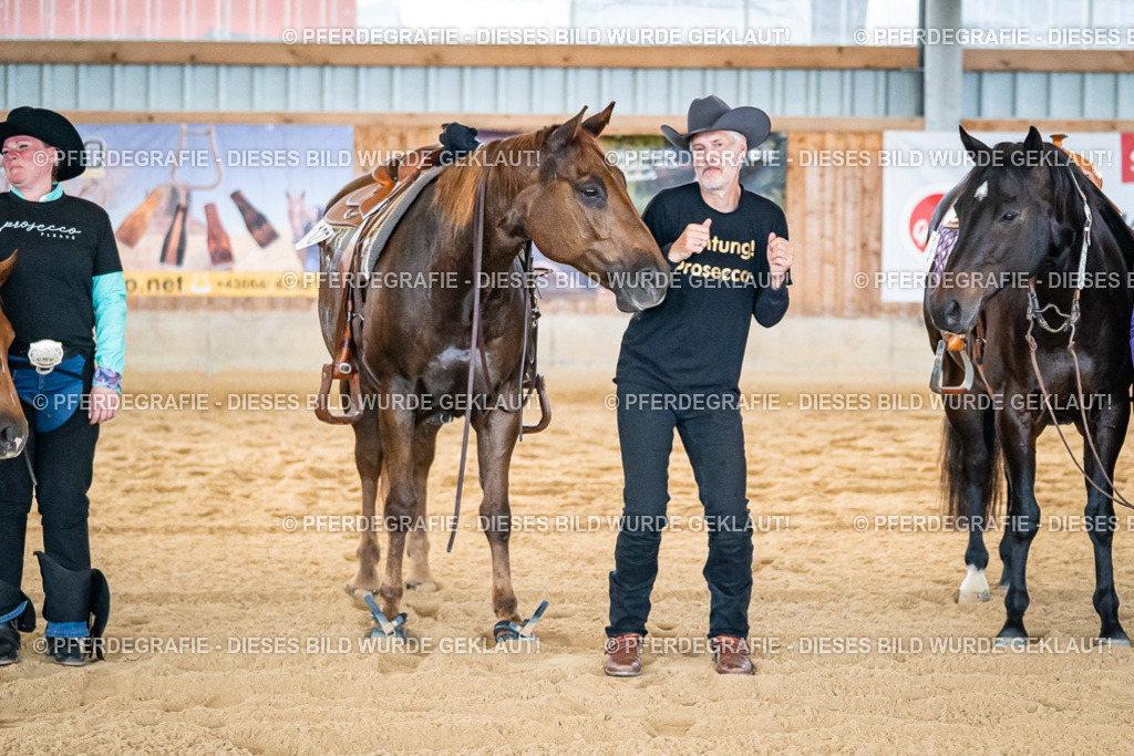 DSC09456 | Pferdegrafie