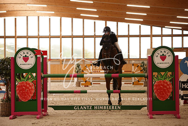 1J2A6240Celina Makowei_ AFP Come McFly_ Kn006_ Glantz_ Hohen Wieschendorf | Foto- und Videografie für alles rund ums Pferd. Hochwertige Bilder und Videos vom Spring- und Dressurreiten, Voltigieren & mehr. Jetzt aktuelle Veranstaltungen und Preise im Shop ansehen. - Realisiert mit Pictrs.com