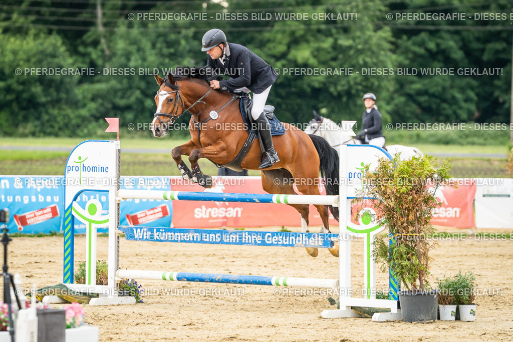 DSC06799 | Pferdegrafie