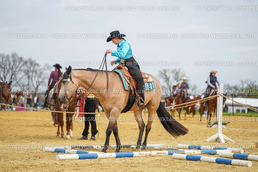 DSC03369 | Pferdegrafie