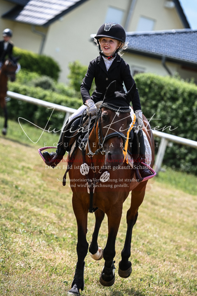 DSC_8628 | Pferde- und Turnierfotografie in Westsachsen. Pferdeportraits, Auftragszeichnungen und intuitive Kunst.